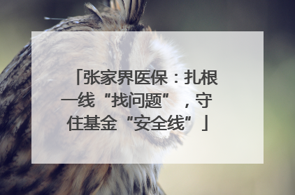 张家界医保：扎根一线“找问题”，守住基金“安全线”