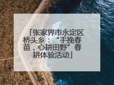 张家界市永定区桥头乡：“手挽春苗，心耕田野”春耕体验活动