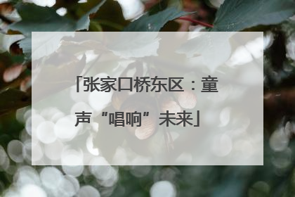 张家口桥东区：童声“唱响”未来