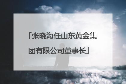 张晓海任山东黄金集团有限公司董事长