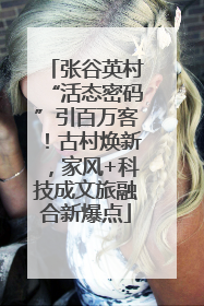 张谷英村“活态密码”引百万客！古村焕新，家风+科技成文旅融合新爆点