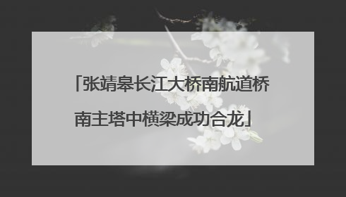张靖皋长江大桥南航道桥南主塔中横梁成功合龙