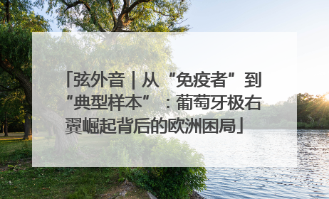弦外音｜从“免疫者”到“典型样本”：葡萄牙极右翼崛起背后的欧洲困局