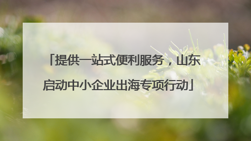 提供一站式便利服务，山东启动中小企业出海专项行动