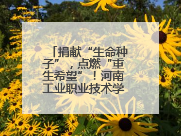 捐献“生命种子”，点燃“重生希望”！河南工业职业技术学院校友为患者捐献造血干细胞