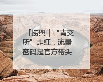 捞舆｜“青交所”走红，流量密码是官方带头“玩起来”