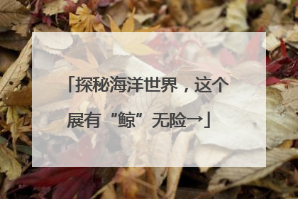 探秘海洋世界，这个展有“鲸”无险→