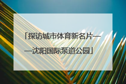 探访城市体育新名片——沈阳国际泵道公园