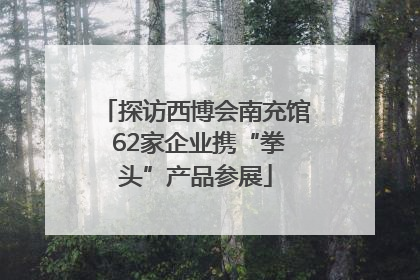 探访西博会南充馆 62家企业携“拳头”产品参展