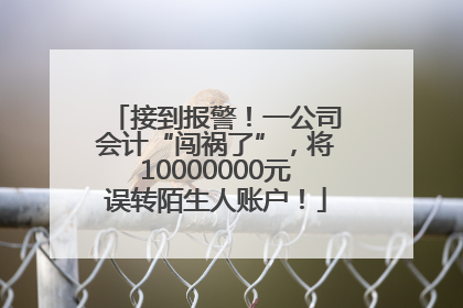 接到报警！一公司会计“闯祸了”，将10000000元误转陌生人账户！
