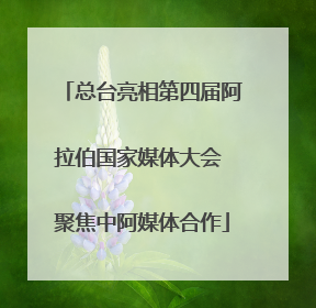 总台亮相第四届阿拉伯国家媒体大会 聚焦中阿媒体合作