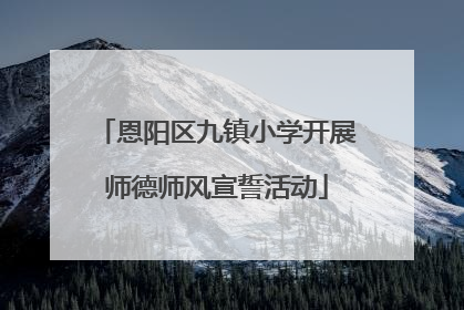 恩阳区九镇小学开展师德师风宣誓活动