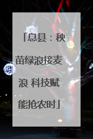 息县：秧苗绿浪接麦浪 科技赋能抢农时