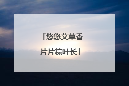 悠悠艾草香 片片粽叶长