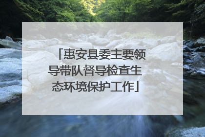 惠安县委主要领导带队督导检查生态环境保护工作