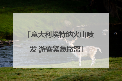 意大利埃特纳火山喷发 游客紧急撤离