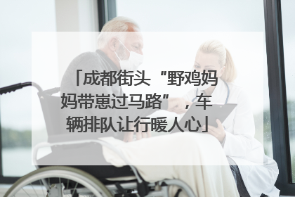 成都街头“野鸡妈妈带崽过马路”，车辆排队让行暖人心
