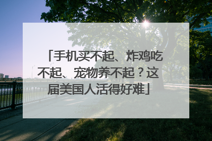 手机买不起、炸鸡吃不起、宠物养不起？这届美国人活得好难