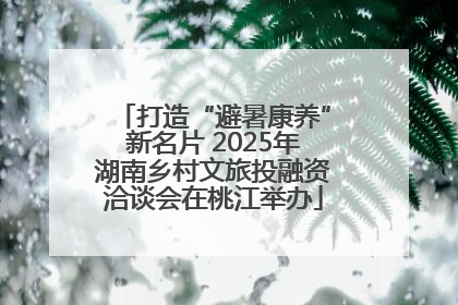 打造“避暑康养”新名片 2025年湖南乡村文旅投融资洽谈会在桃江举办