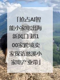 抢占AI智能小家电出海新风口 超100家跨境卖家探访慈溪小家电产业带