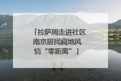 拉萨周走进社区 南京居民藏地风情“零距离”
