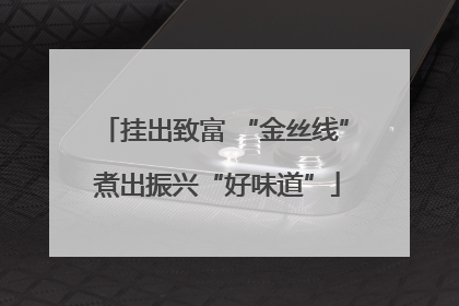 挂出致富 “金丝线” 煮出振兴“好味道”