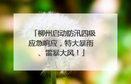 柳州启动防汛四级应急响应，特大暴雨、雷暴大风！