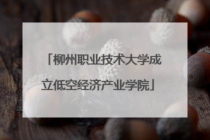 柳州职业技术大学成立低空经济产业学院