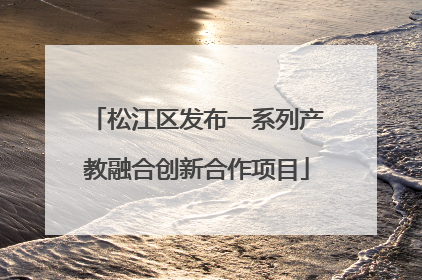 松江区发布一系列产教融合创新合作项目