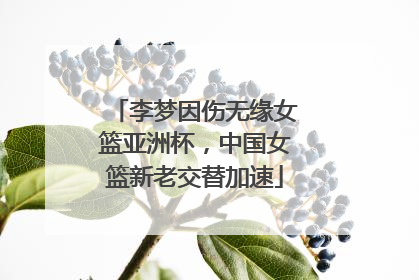 李梦因伤无缘女篮亚洲杯，中国女篮新老交替加速