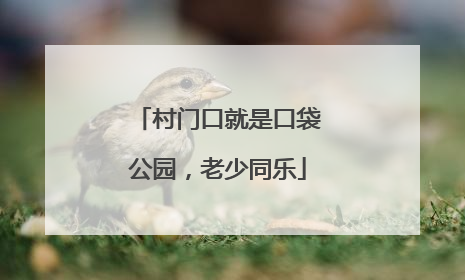 村门口就是口袋公园，老少同乐