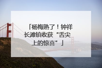 杨梅熟了！钟祥长滩镇收获“舌尖上的惊喜”