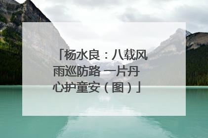 杨水良：八载风雨巡防路 一片丹心护童安（图）