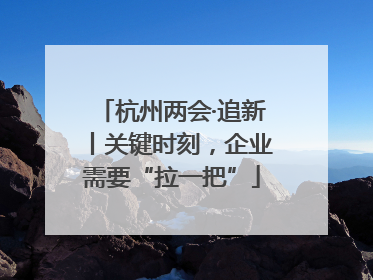 杭州两会·追新丨关键时刻，企业需要“拉一把”