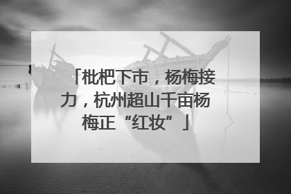 枇杷下市，杨梅接力，杭州超山千亩杨梅正“红妆”