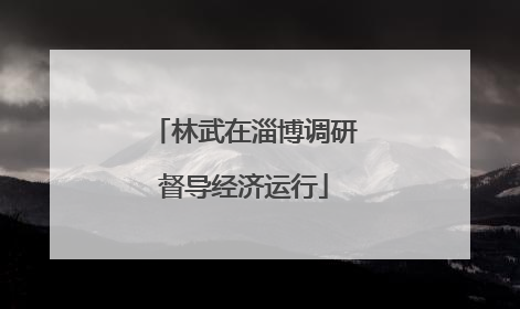 林武在淄博调研督导经济运行