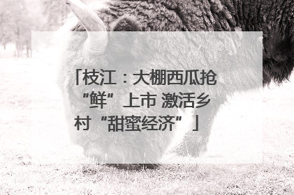 枝江：大棚西瓜抢“鲜”上市 激活乡村“甜蜜经济”