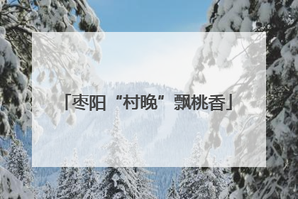 枣阳“村晚”飘桃香