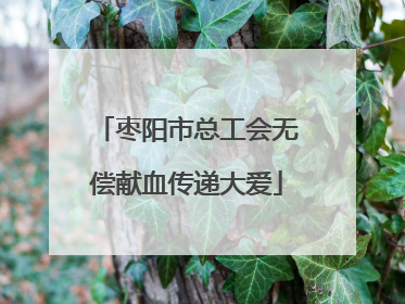 枣阳市总工会无偿献血传递大爱
