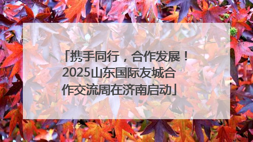 携手同行，合作发展！2025山东国际友城合作交流周在济南启动