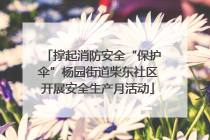 撑起消防安全“保护伞”杨园街道柴东社区开展安全生产月活动