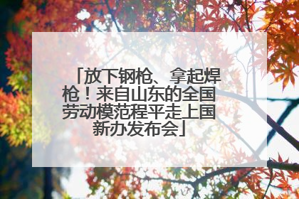 放下钢枪、拿起焊枪！来自山东的全国劳动模范程平走上国新办发布会