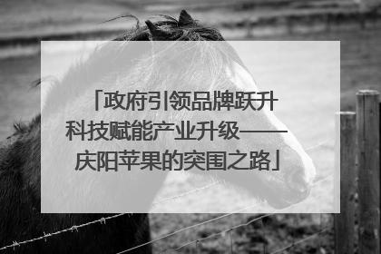 政府引领品牌跃升 科技赋能产业升级——庆阳苹果的突围之路