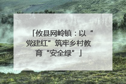 攸县网岭镇：以“党建红”筑牢乡村教育“安全绿”