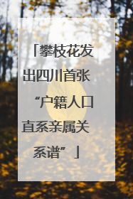 攀枝花发出四川首张“户籍人口直系亲属关系谱”