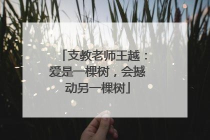 支教老师王越：爱是一棵树，会撼动另一棵树