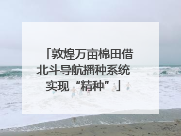 敦煌万亩棉田借北斗导航播种系统实现“精种”