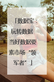 数据宝：玩转数据 当好数据要素市场“领军者”