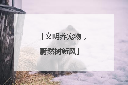 文明养宠物，蔚然树新风