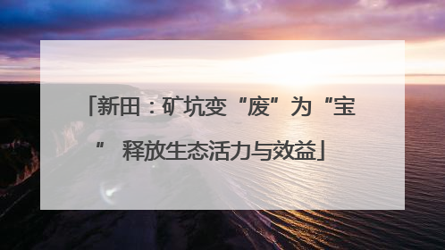 新田：矿坑变“废”为“宝” 释放生态活力与效益